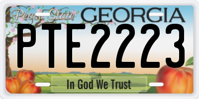 GA license plate PTE2223