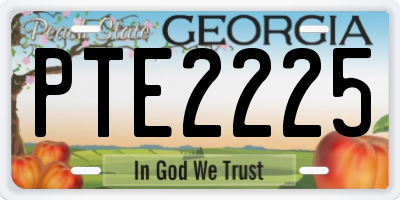 GA license plate PTE2225