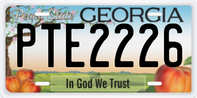 GA license plate PTE2226