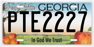 GA license plate PTE2227