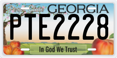 GA license plate PTE2228