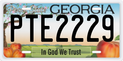 GA license plate PTE2229