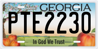GA license plate PTE2230