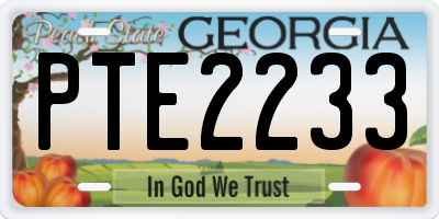 GA license plate PTE2233