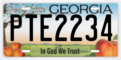 GA license plate PTE2234