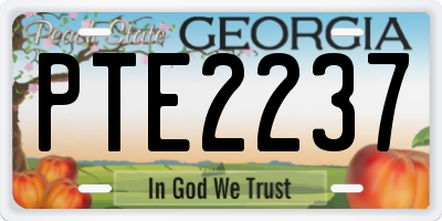 GA license plate PTE2237