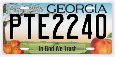 GA license plate PTE2240