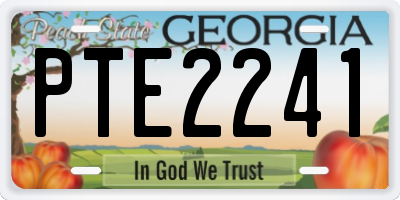 GA license plate PTE2241