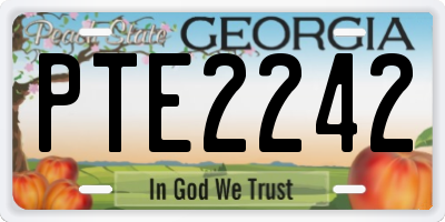GA license plate PTE2242