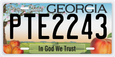 GA license plate PTE2243