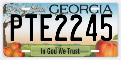 GA license plate PTE2245