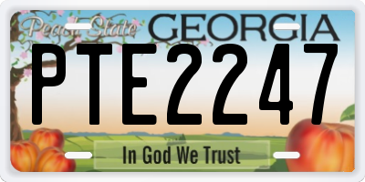 GA license plate PTE2247