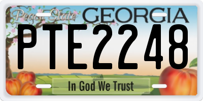 GA license plate PTE2248