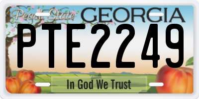 GA license plate PTE2249