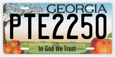 GA license plate PTE2250