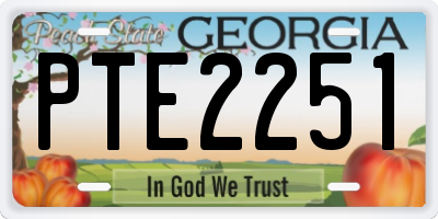 GA license plate PTE2251