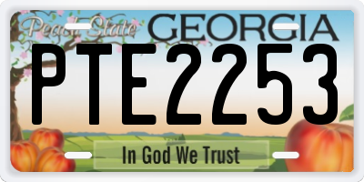 GA license plate PTE2253