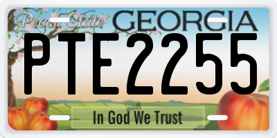 GA license plate PTE2255