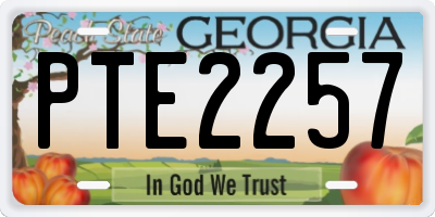 GA license plate PTE2257