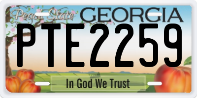 GA license plate PTE2259