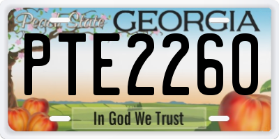 GA license plate PTE2260