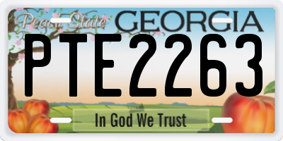GA license plate PTE2263