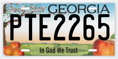 GA license plate PTE2265