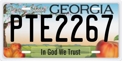 GA license plate PTE2267