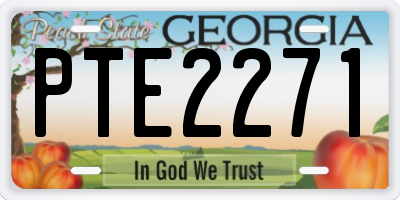 GA license plate PTE2271