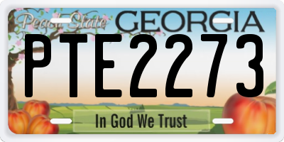 GA license plate PTE2273
