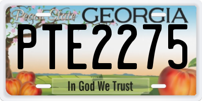 GA license plate PTE2275