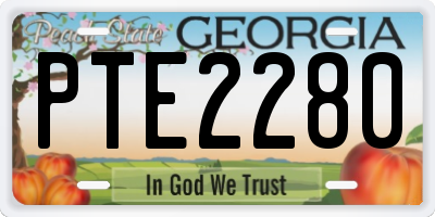 GA license plate PTE2280