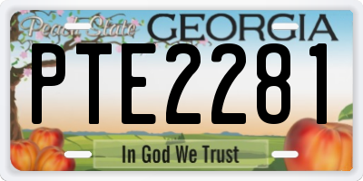 GA license plate PTE2281