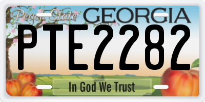 GA license plate PTE2282
