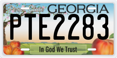 GA license plate PTE2283