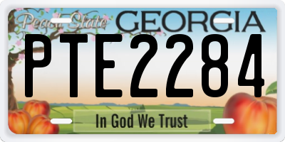 GA license plate PTE2284