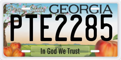 GA license plate PTE2285
