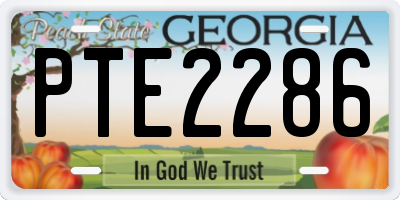 GA license plate PTE2286