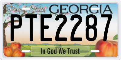 GA license plate PTE2287