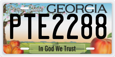 GA license plate PTE2288