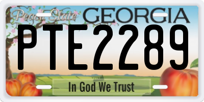 GA license plate PTE2289
