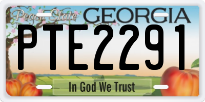 GA license plate PTE2291