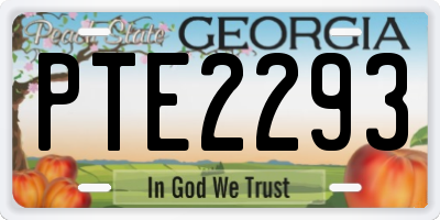 GA license plate PTE2293