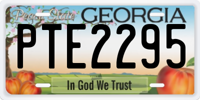 GA license plate PTE2295