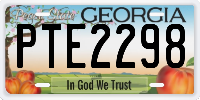 GA license plate PTE2298
