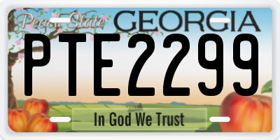 GA license plate PTE2299