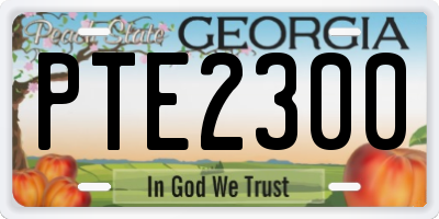 GA license plate PTE2300