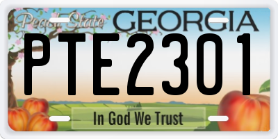 GA license plate PTE2301