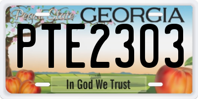 GA license plate PTE2303
