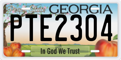 GA license plate PTE2304